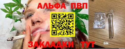 бошки Кингисепп