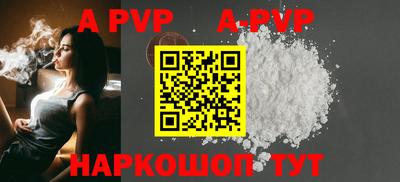бошки Кингисепп