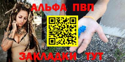 бошки Кингисепп