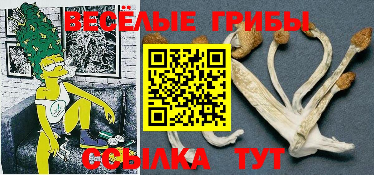 Галлюциногенные грибы Psilocybine cubensis Краснокаменск