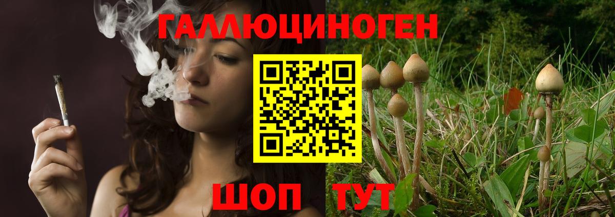 даркнет сайт  Галлюциногенные грибы мухоморы  Вход с VPN  Краснокаменск 